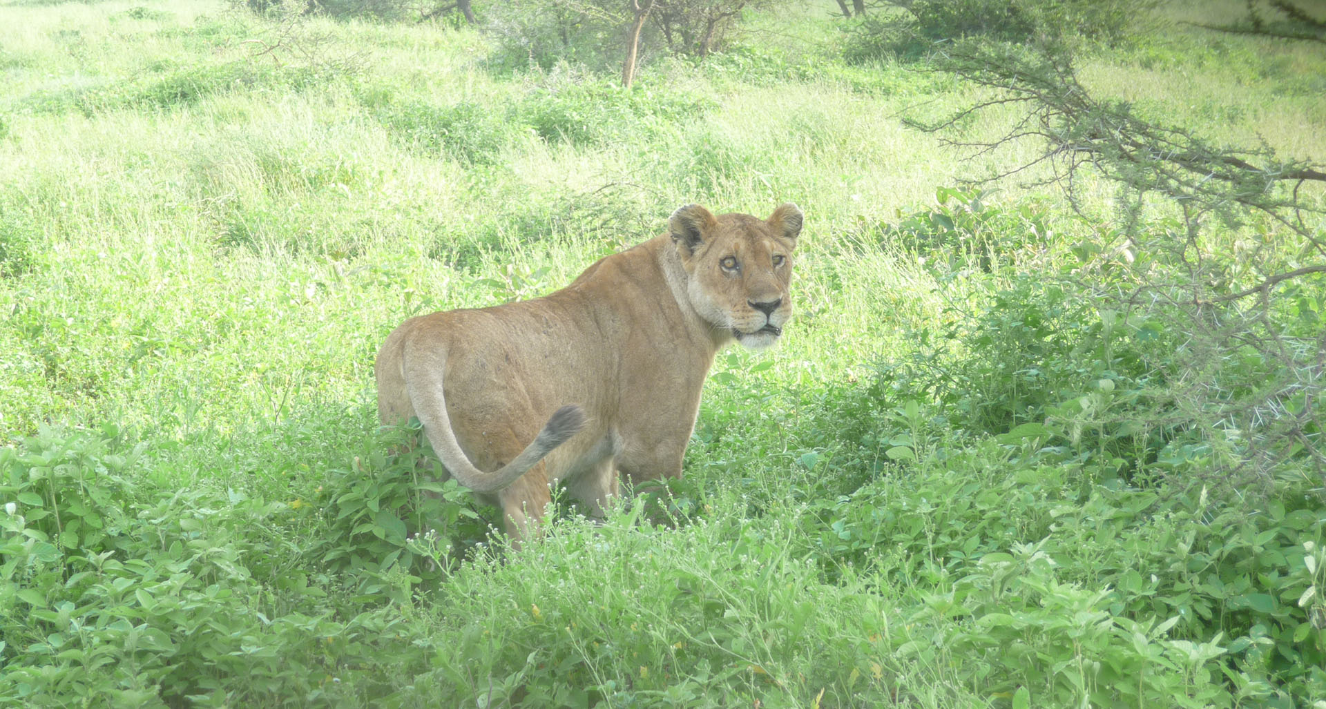 Serengeti National Park