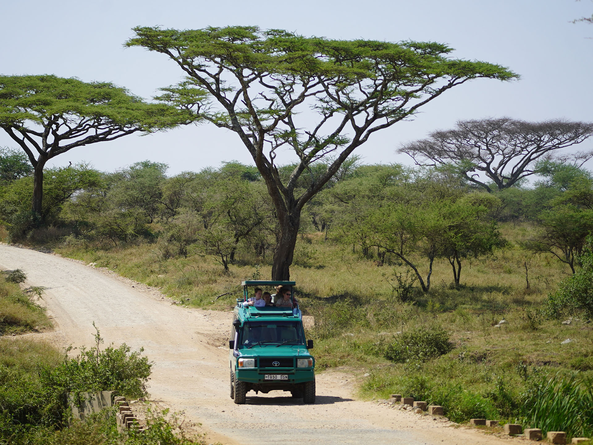 5 Days Tanzania Big 5 Safari
